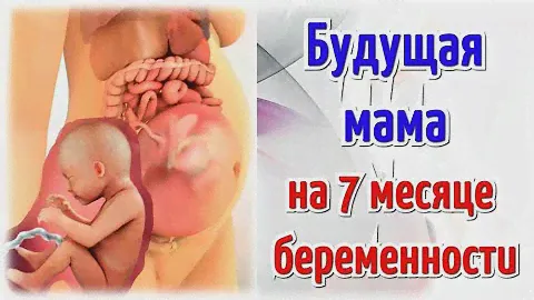 Будущая мама на 7 месяце беременности!