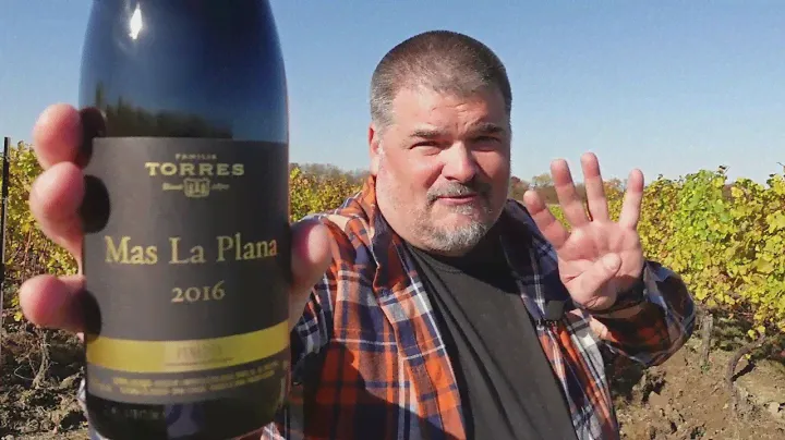 One of the most ICONIC wines: Torres 2016 Mas La Plana (Spain)
