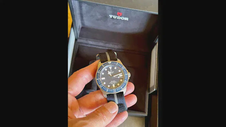 Three Year Update - Tudor Pelagos FXD MN21
