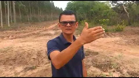 Transição do cerrado para o eucalipto na MA-225