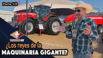 LO MAS POTENTE DEL MERCADO ¿Serán los rojos?