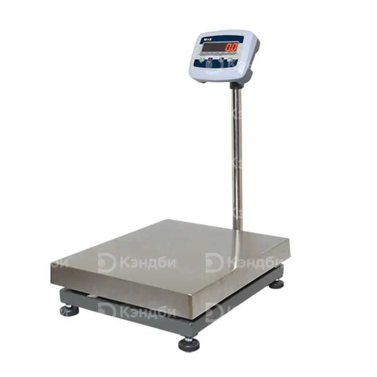 Весы электронные напольные MAS PM1E-100-4050