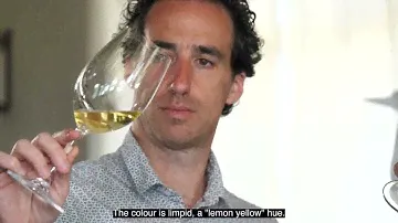Organic Wine Collection: Arrogant Frog, Naturellement Résistant - Vin de France