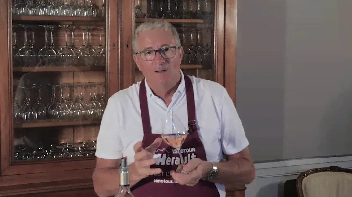 Les vins de l'Hérault : Vignes de Nicole