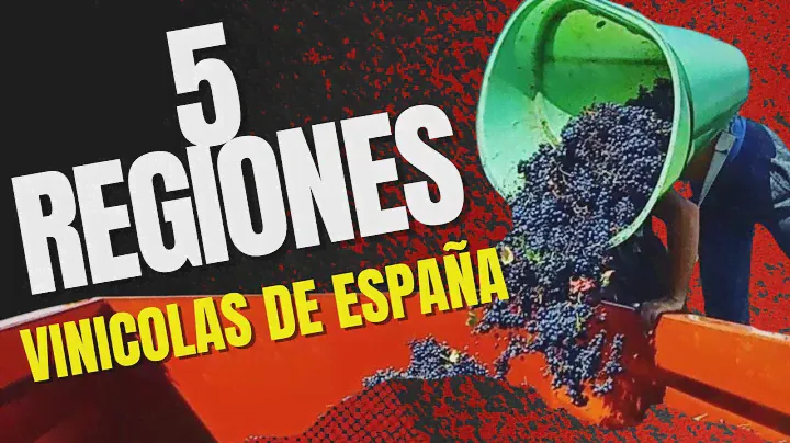 Top 5 Regiones Vinícolas de España Vinos, Terroir y Tradición