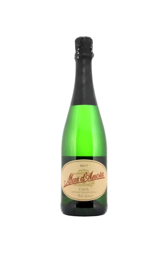 "Mas d'Anoia" Brut, Cava DO, 2022, 750 мл-0