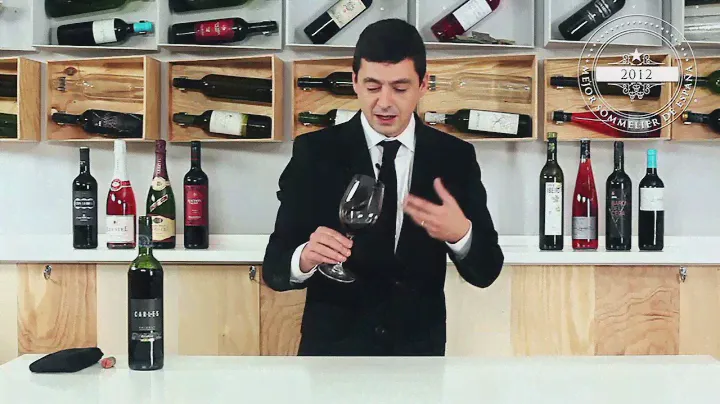 Vino tinto Vinya Carles crianza 2009 D.O. Priorat 🍇🍷 | Todo sobre el Vino | Lidl España