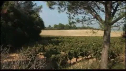 Domaines Paul Mas