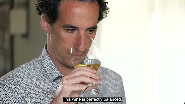 Organic Wine Collection: Mas des Tannes, Réserve Blanc - IGP Pays d'Oc