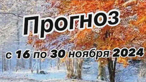 ВЕСЫ С 16 ПО 30 НОЯБРЯ|ВОЗМОЖНОСТИ ПРЕПЯТСТВИЯ ПРОРЫВ | НОВЫЙ ПРОГНОЗ #гороскоп #ноябрь #успех