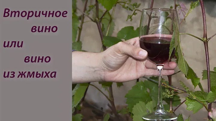 Готовим вторичное вино или вино из жмыха
