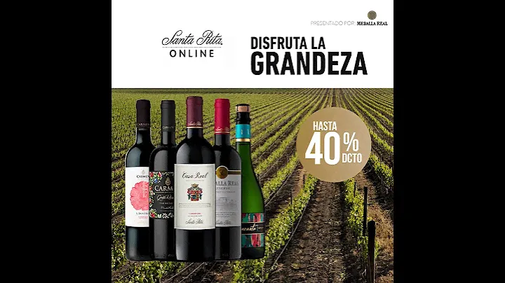 40% Off - Santa Rita Online