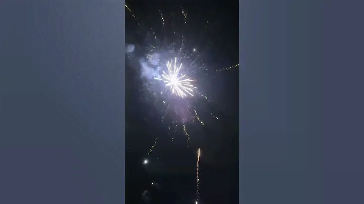 Sony PVM 64x slow motion