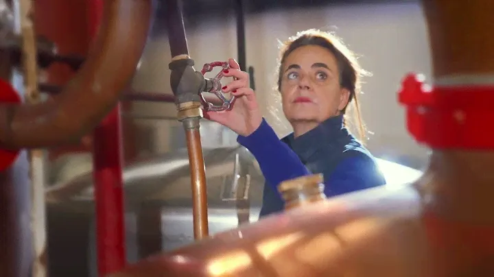 Manguin : L'Art de la Distillation Artisanale en Provence