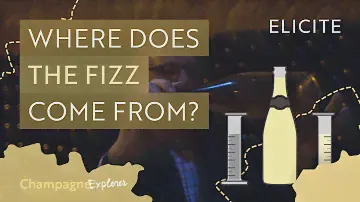 Why is Champagne Fizzy? The Basics of Winemaking In Champagne
