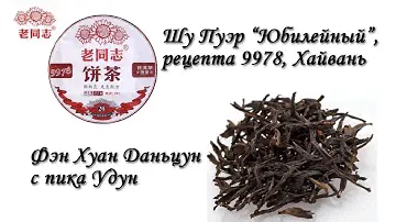 Обзор чая Шу Пуэр Хайвань Юбилейный 9978 и Улун Фэн Хуан Даньцун