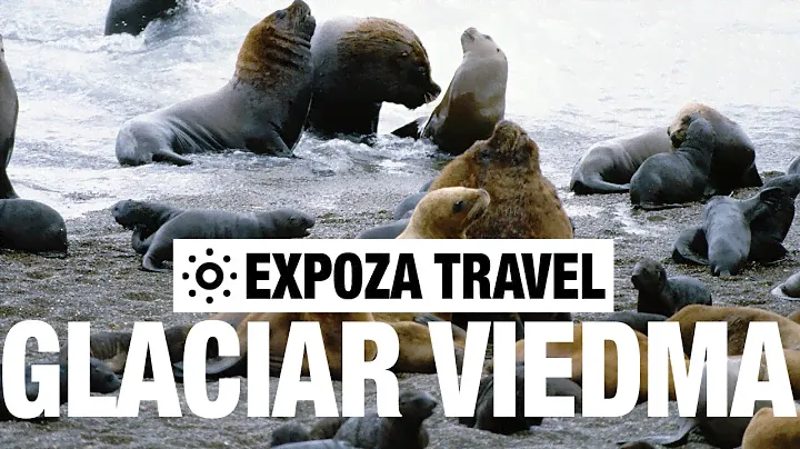 Glaciar Viedma & Cerro Fitz Roy Vacation Travel Video Guide