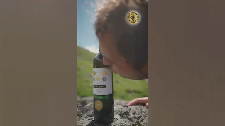 Johannisberg "Siccus" Or à Expovina Wine Trophy