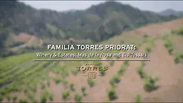 Familia Torres Priorat. Winery & Estates: Mas de la Rosa and Els Tossals
