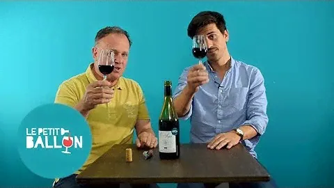 Famille Cros Pujol - O Sud 2016 // Dégustation Le Petit Ballon