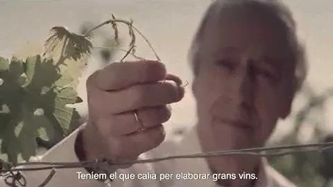 Mas La Plana (2019 - Catalan subtitles)