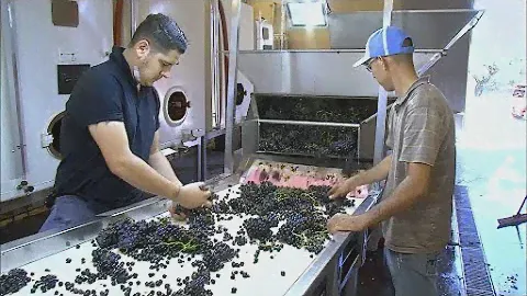 Les Grands Vins Français | Vallée Sud du Rhône