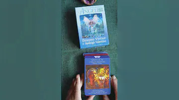Angel Tarot Card 12/11/24