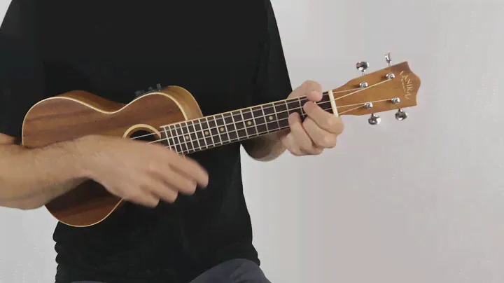 Lanikai AC-CEC Concert Ukulele | The Ukebug